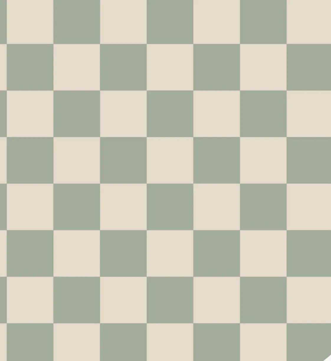Eddie & Bee organic cotton leggings in Sage  "Checkers" print.