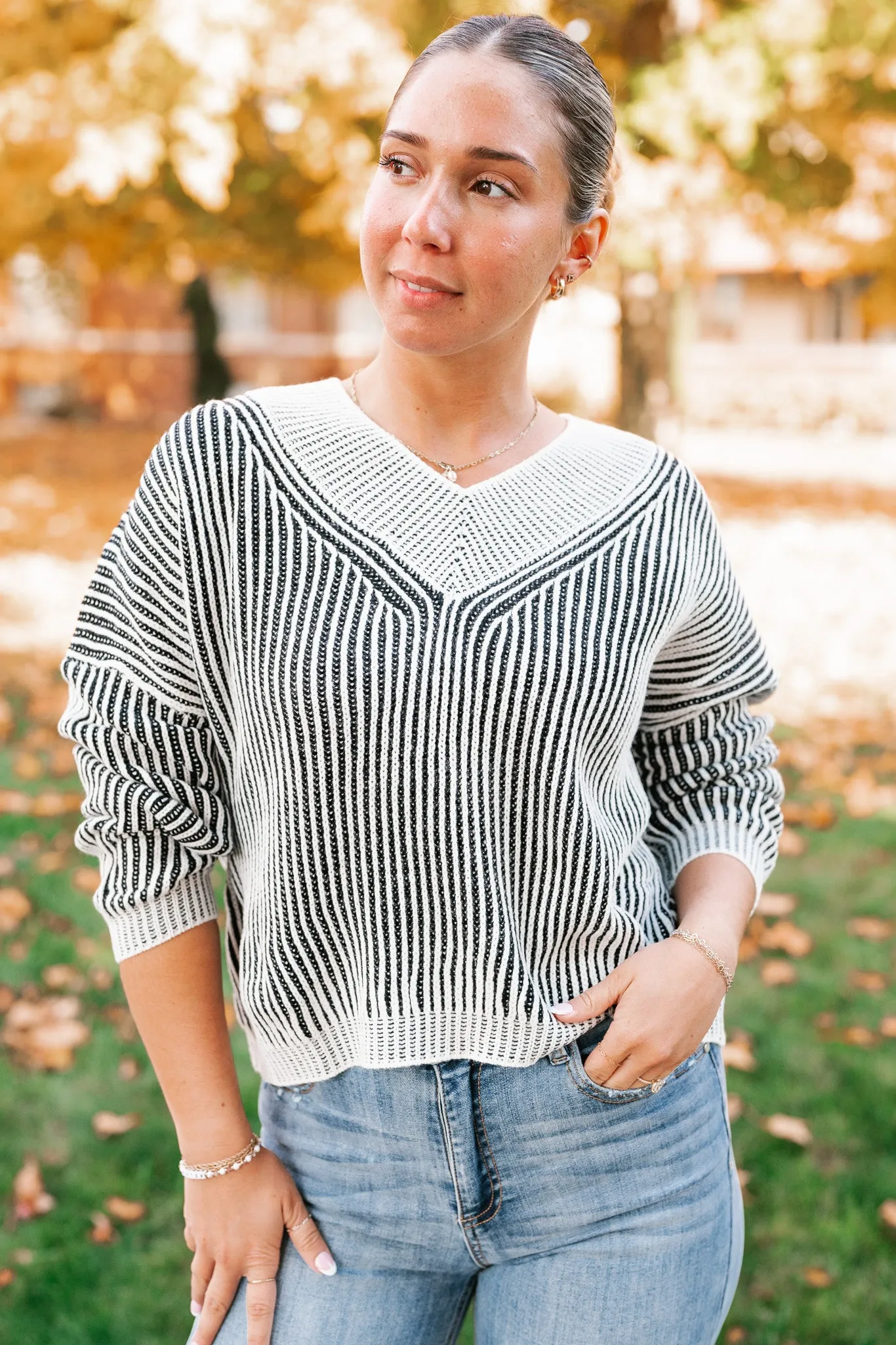 In Between V-Neck Knit Striped Sweater - Black