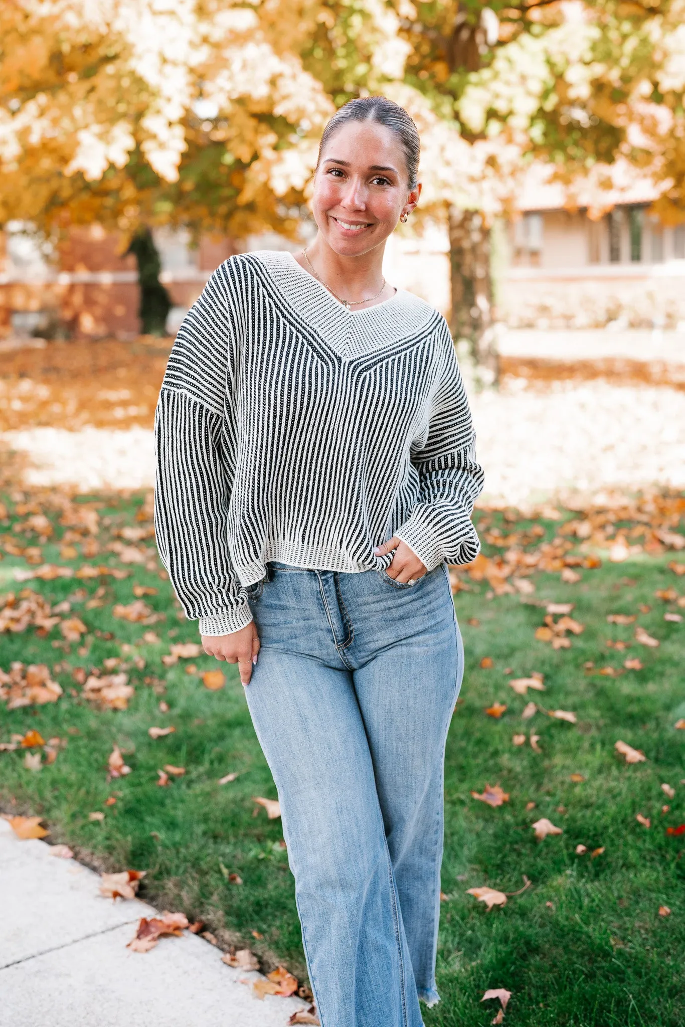 In Between V-Neck Knit Striped Sweater - Black