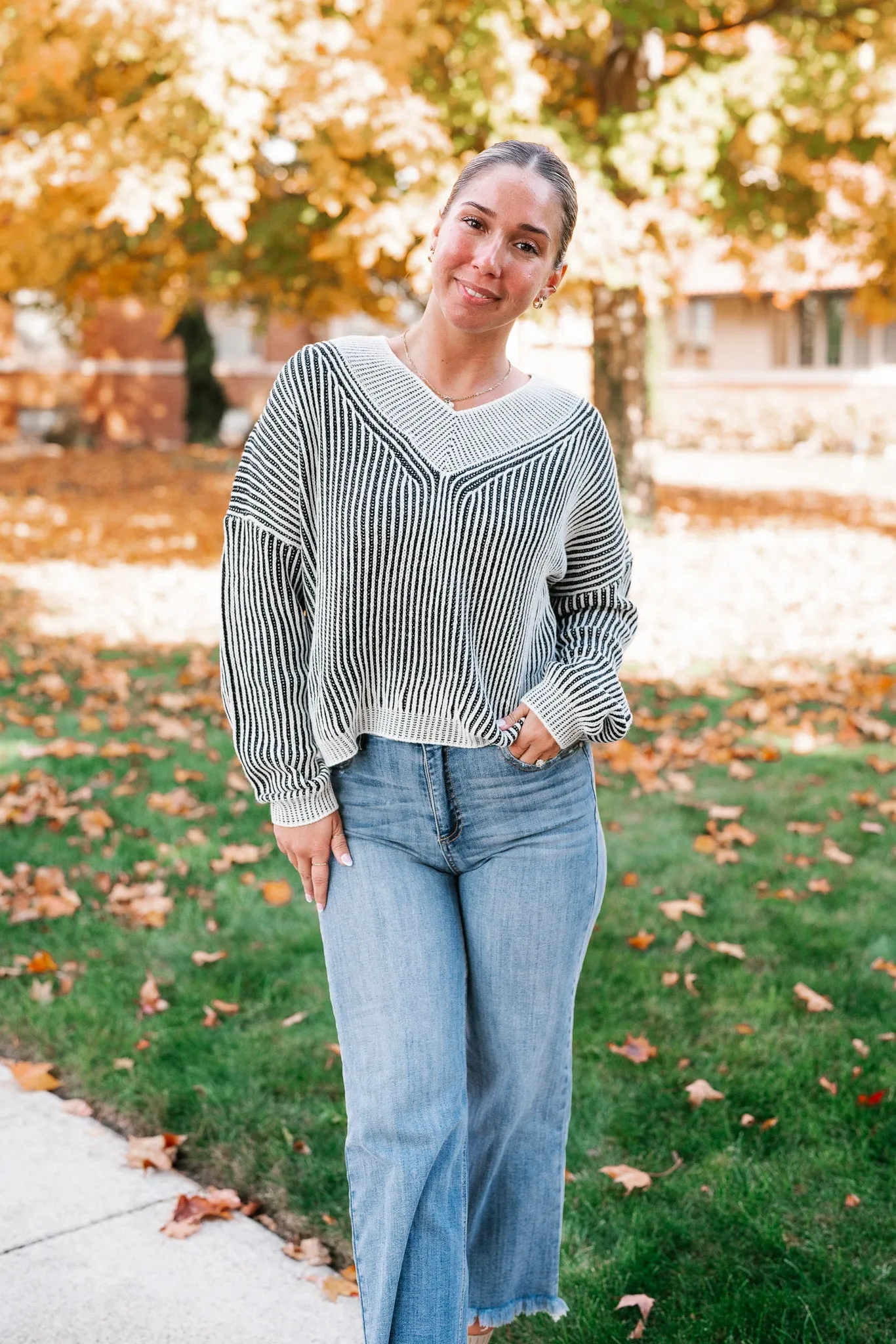 In Between V-Neck Knit Striped Sweater - Black