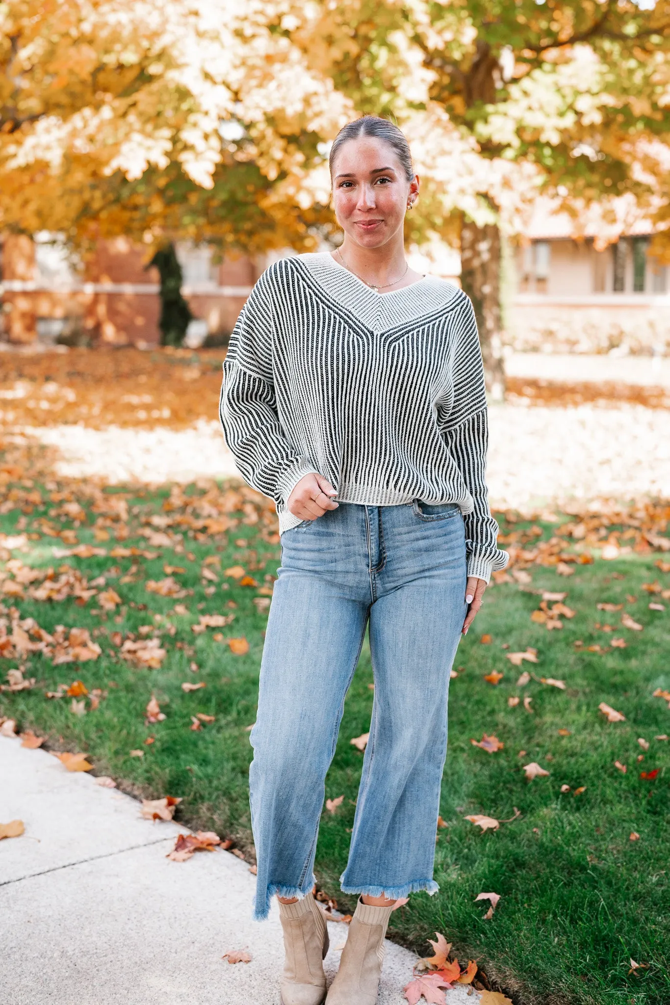 In Between V-Neck Knit Striped Sweater - Black
