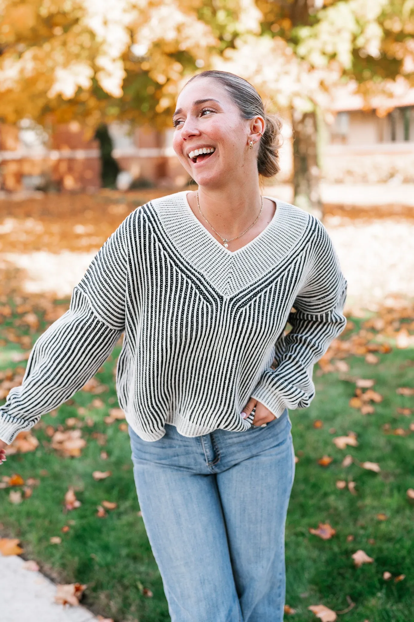 In Between V-Neck Knit Striped Sweater - Black