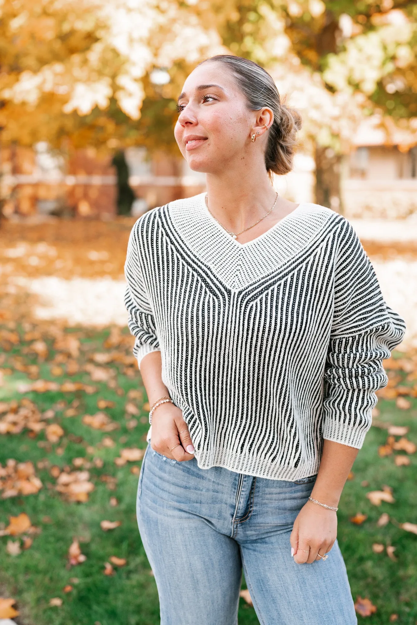 In Between V-Neck Knit Striped Sweater - Black
