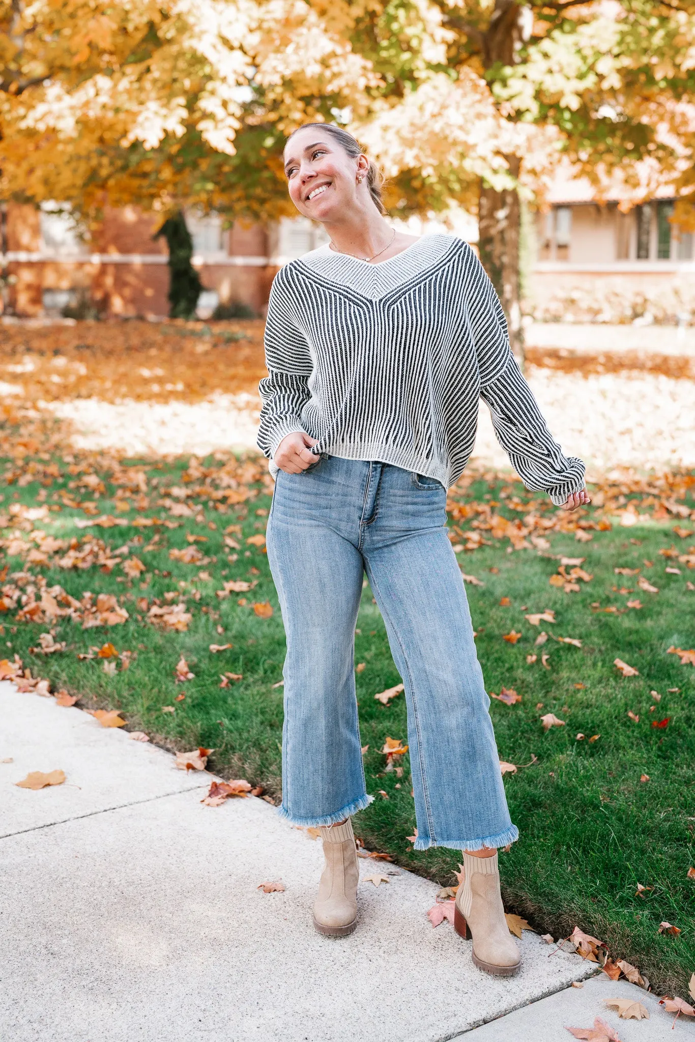 In Between V-Neck Knit Striped Sweater - Black