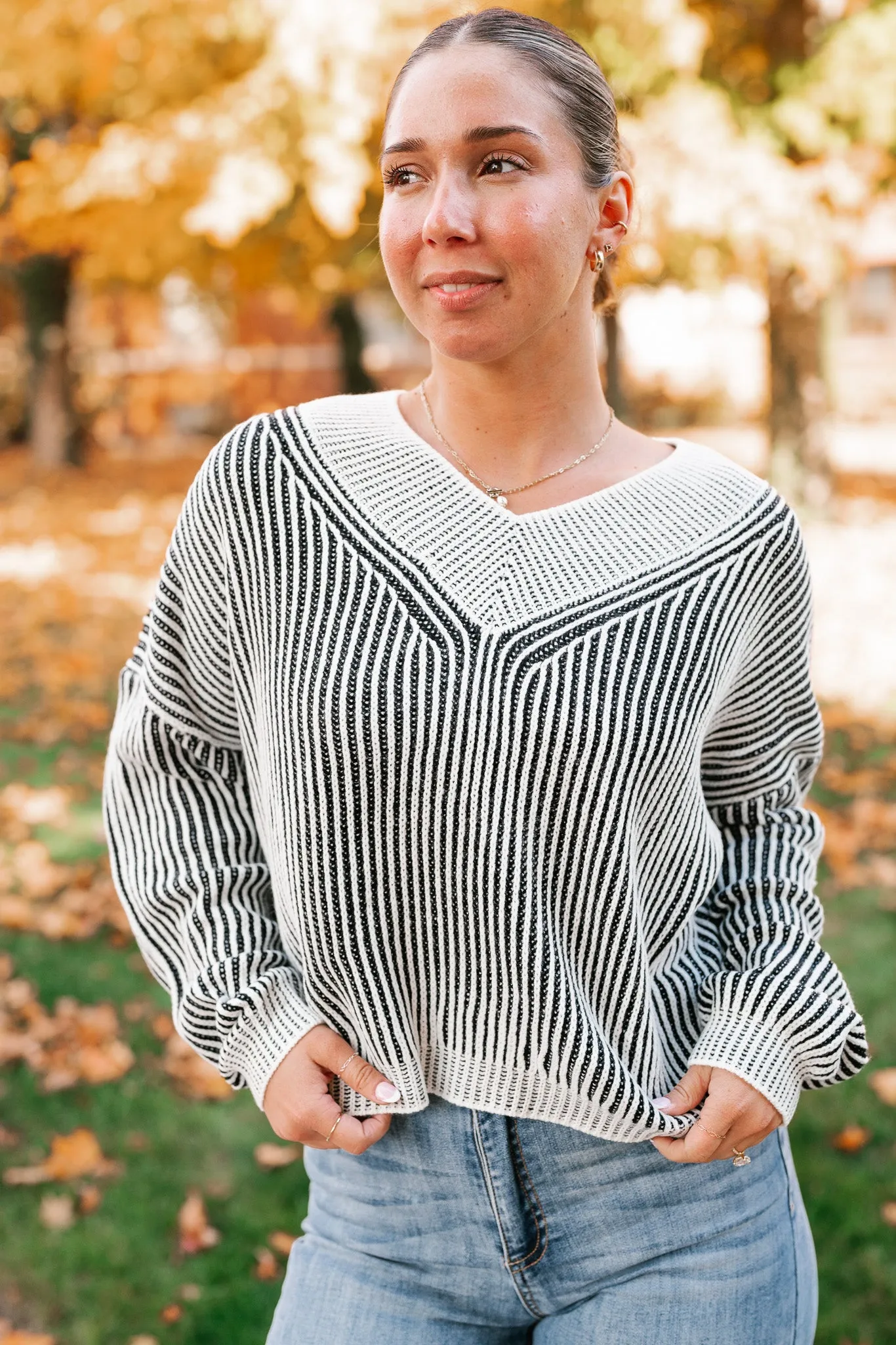 In Between V-Neck Knit Striped Sweater - Black
