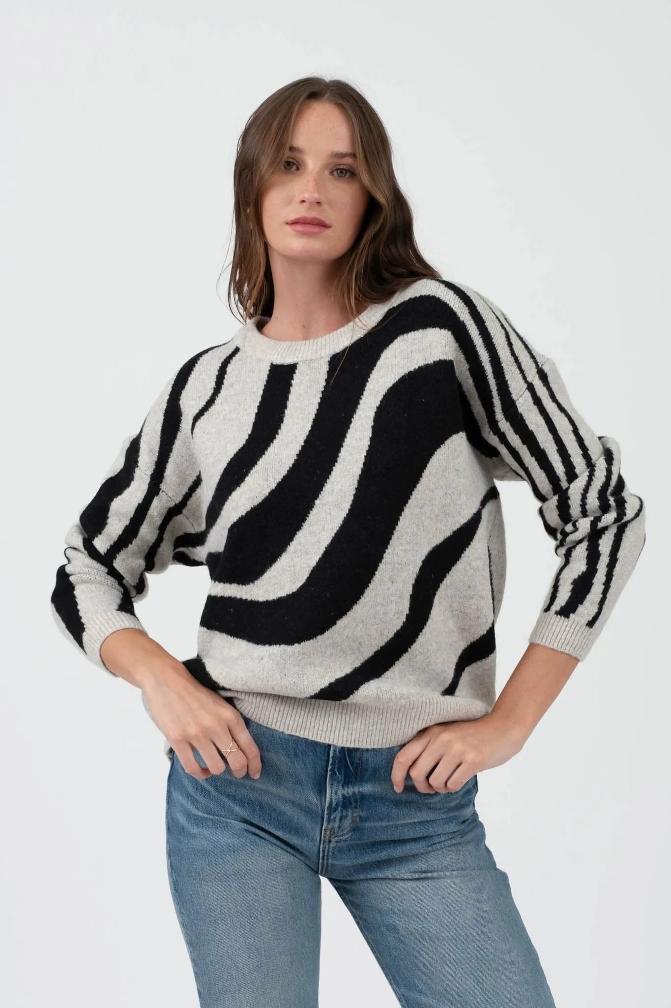 ZEBRA PRINT LONG SLEEVE SWEATER